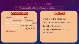 NATURAL COLLOIDS
• Colloid
• Invisible to the naked eye
• Can’t be separated by filtration
• Do not settle down
• Usually particle size 1 – 1000
nanometer
• Visible to the naked eye
• Can be separated by filtration
• Dispersed material is usually solid
• Particles can be settled down
• Usually particle size larger than 1
micrometer
Suspension
• There are different types of dispersed material
 