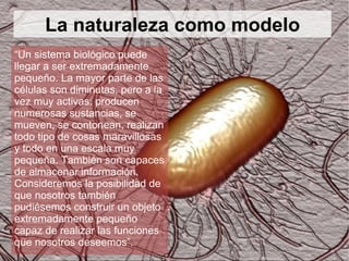 La naturaleza como modelo “ Un sistema biológico puede llegar a ser extremadamente pequeño. La mayor parte de las células son diminutas, pero a la vez muy activas: producen numerosas sustancias, se mueven, se contonean, realizan todo tipo de cosas maravillosas y todo en una escala muy pequeña. También son capaces de almacenar información. Consideremos la posibilidad de que nosotros también pudiésemos construir un objeto extremadamente pequeño capaz de realizar las funciones que nosotros deseemos”. 