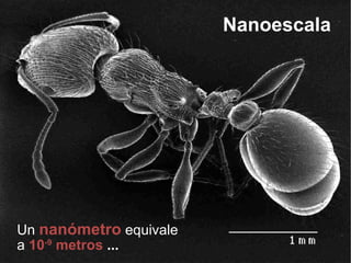 Un  nanómetro  equivale a  10 -9  metros  ... Nanoescala 