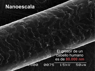 Nanoescala El grosor de un cabello humano es de  80.000 nm 