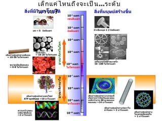 เล็ ก แค่ ไ หนถึ ง จะเป็ น ...ระดั บ
                 สิ่งที่มีในาโน?
                           นธรรมชาติ                สิงที่มนุษย์สร้างขึ้น
                                                      ่
                                        10 เมตร                      -2

                                                                  เซนติเมตร


                                                                  10-3 เมตร
                                                                                    หัวเข็มหมุด 1-2 มิลลิเมตร
                            มด ~ 5 มิลลิเมตร                      มิลลิเมตร


                                                                  10-4 เมตร




                                                  อาณาจักรไมโคร
                              ฝุ่นละออง                           10-5 เมตร
เส้นผ่านศูนย์กลางเส้นผม       ~ 10-20 ไมโครเมตร
  ~ 10-50 ไมโครเมตร
                                                                                     เครื่องกลไฟฟ้าขนาดจิว
                                                                                                         ๋
   ขนาดเม็ดเลือดแดง                                               10-6 เมตร          10 -100 ไมโครเมตร
   ~ 6-8 ไมโครเมตร                                                ไมโครเมตร


                                                                  10-7 เมตร
                                                  อาณาจักรนาโน




                                                                  10-8 เมตร

                   เส้นผ่านศูนย์กลางเอนไซม์                                    เส้นผ่านศูนย์กลางวงกลมที่
                 ATP synthase ~10 นาโนเมตร                                     เกิดจากการจัดเรียงอะตอม
                                                                  10-9 เมตร    เหล็กจำานวน 48 อะตอมบน
                                                                               ทองแดง ~14 นาโนเมตร
                                                                  นาโนเมตร
                                                                                              เส้นผ่านศูนย์กลางท่อนาโน
           ความกว้างของ                                                                       คาร์บอน ~ 2 นาโนเมตร
                                                                                                                         เส้นผ่านศูนย์กลาง
           เกลียวดีเอ็นเอ                                         10-10 เมตร                                             โมเลกุลฟูลเลอรีน
           ~2 นาโนเมตร
                                                                                                                         ~ 1 นาโนเมตร
 
