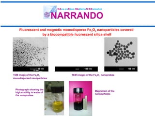 Fluorescent and magnetic monodisperse Fe3O4 nanoparticles covered
by a biocompatible fluorescent silica shell
Magnetism of...