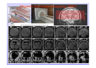 Nanotechnology : From Concept to Applications for ICT
