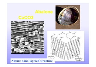 Nanotechnology : From Concept to Applications for ICT