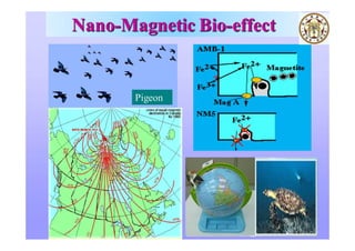 Nanotechnology : From Concept to Applications for ICT