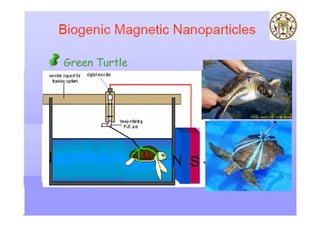 Nanotechnology : From Concept to Applications for ICT
