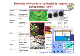 Nanotechnology : From Concept to Applications for ICT