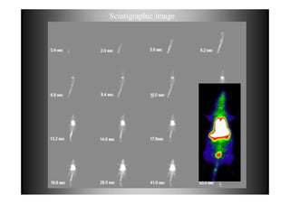 Nanotechnology : From Concept to Applications for ICT