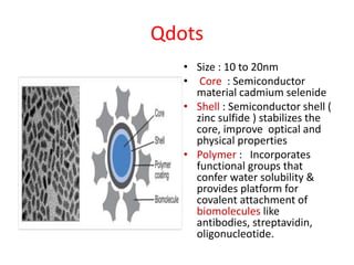 Qdots
• Size : 10 to 20nm
• Core : Semiconductor
material cadmium selenide
• Shell : Semiconductor shell (
zinc sulfide ) stabilizes the
core, improve optical and
physical properties
• Polymer : Incorporates
functional groups that
confer water solubility &
provides platform for
covalent attachment of
biomolecules like
antibodies, streptavidin,
oligonucleotide.
 
