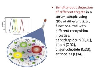 • Simultaneous detection
of different targets in a
serum sample using
QDs of different sizes,
functionalized with
different recognition
moieties:
peptide/protein (QD1),
biotin (QD2),
oligonucleotide (QD3),
antibodies (QD4).
 