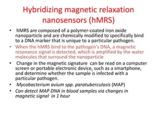 • hMRS are composed of a polymer-coated iron oxide
nanoparticle and are chemically modified to specifically bind
to a DNA marker that is unique to a particular pathogen.
• When the hMRS bind to the pathogen's DNA, a magnetic
resonance signal is detected, which is amplified by the water
molecules that surround the nanoparticle
• Change in the magnetic signature can be read on a computer
screen or portable electronic device, such as a smartphone,
and determine whether the sample is infected with a
particular pathogen.
• Mycobacterium avium spp. paratuberculosis (MAP)
• Can detect MAP DNA in blood samples via changes in
magnetic signal in 1 hour
Hybridizing magnetic relaxation
nanosensors (hMRS)
 