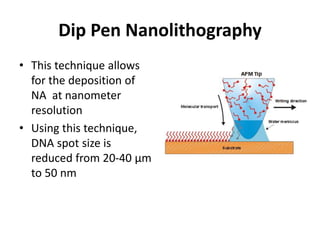 Dip Pen Nanolithography
• This technique allows
for the deposition of
NA at nanometer
resolution
• Using this technique,
DNA spot size is
reduced from 20-40 μm
to 50 nm
 