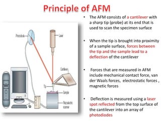 • The AFM consists of a cantilever with
a sharp tip (probe) at its end that is
used to scan the specimen surface
• When the tip is brought into proximity
of a sample surface, forces between
the tip and the sample lead to a
deflection of the cantilever
• Forces that are measured in AFM
include mechanical contact force, van
der Waals forces, electrostatic forces ,
magnetic forces
• Deflection is measured using a laser
spot reflected from the top surface of
the cantilever into an array of
photodiodes
 