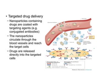 • Targeted drug delivery
− Nanoparticles containing
drugs are coated with
targeting agents (e.g.
conjugated antibodies)
− The nanoparticles
circulate through the
blood vessels and reach
the target cells
− Drugs are released
directly into the targeted
cells
 