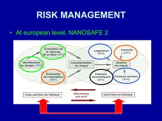 RISK MANAGEMENT At european level, NANOSAFE 2 