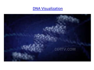 DNA Visualization
 