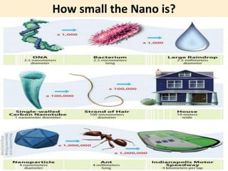 How small the Nano is? 
 