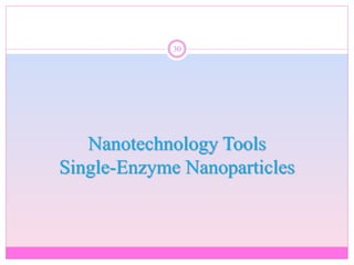 Nanotechnology Tools
Single-Enzyme Nanoparticles
30
 