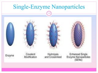 Single-Enzyme Nanoparticles
33
 