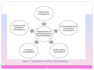 43
Figure 1: Application of NMs in bioremediation.
 