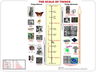 Progressinatomic-levelunderstanding
DNA
~2 nm wide
Things Natural Things Manmade
THE SCALE OF THINGS
10 nm
Cell membrane
ATP synthaseSchematic, central core
Cat
~ 0.3 m
Dust mite
300 mm
Monarch butterfly
~ 0.1 m
MEMS (MicroElectroMechanical Systems) Devices
10 -100 mm wide
Red blood cells
Pollen grain
Fly ash
~ 10-20 mm
Bee
~ 15 mm
Atoms of silicon
spacing ~tenths of nm
Head of a pin
1-2 mm
Magnetic domains
garnet film
11 mm wide stripes
Quantum corral of 48 iron atoms on copper surface
positioned one at a time with an STM tip
Corral diameter 14 nm
Progressinminiaturization
Indium arsenide
quantum dot
Quantum dot array --
germanium dots on silicon
Microelectronics
Objects fashioned from
metals, ceramics, glasses, polymers ...
Human hair
~ 50 mm wide
Biomotor using ATP
TheMicroworld
0.1 nm
1 nanometer (nm)
0.01 mm
10 nm
0.1 mm
100 nm
1 micrometer (mm)
0.01 mm
10 mm
0.1 mm
100 mm
1 millimeter (mm)
0.01 m
1 cm
10 mm
0.1 m
100 mm
1 meter (m)100 m
10-1 m
10-2
m
10-3
m
10-4
m
10-5
m
10-6
m
10-7
m
10-8
m
10-9 m
10-10 m
Visible
spectrum
TheNanoworld
Self-assembled
“mushroom”
The21stcenturychallenge--Fashionmaterialsatthenanoscalewithdesiredpropertiesandfunctionality
Red blood cells
with white cell
~ 2-5 mm
meter m 100 1 m
centimeter cm 10-2 0.01 m
millimeter mm 10-3 0.001 m
Micrometer mm 10-6 0.000001 m
nanometernm 10-9 0.000000001 m Chart from
http://www.sc.doe.gov/production/bes/scale_of_things.html
 