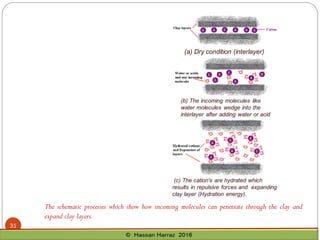 The schematic processes which show how incoming molecules can penetrate through the clay and
expand clay layers.
31
 