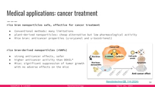 Samadhan & Laxman Nanotechnology April 25, 2024
Medical applications: cancer treatment
rice bran nanoparticles safe, effective for cancer treatment
● Conventional methods: many limitations
● plant-derived nanoparticles: cheap alternative but low pharmacological activity
● Rice bran: anticancer properties (γ-oryzanol and γ-tocotrienol)
30
Nanobiotechnol 22, 114 (2024)
rice bran-derived nanoparticles (rbNPs)
● strong anticancer effects, safer
● higher anticancer activity than DOXIL®
● Mice: significant suppression of tumor growth
with no adverse effects on the mice
 