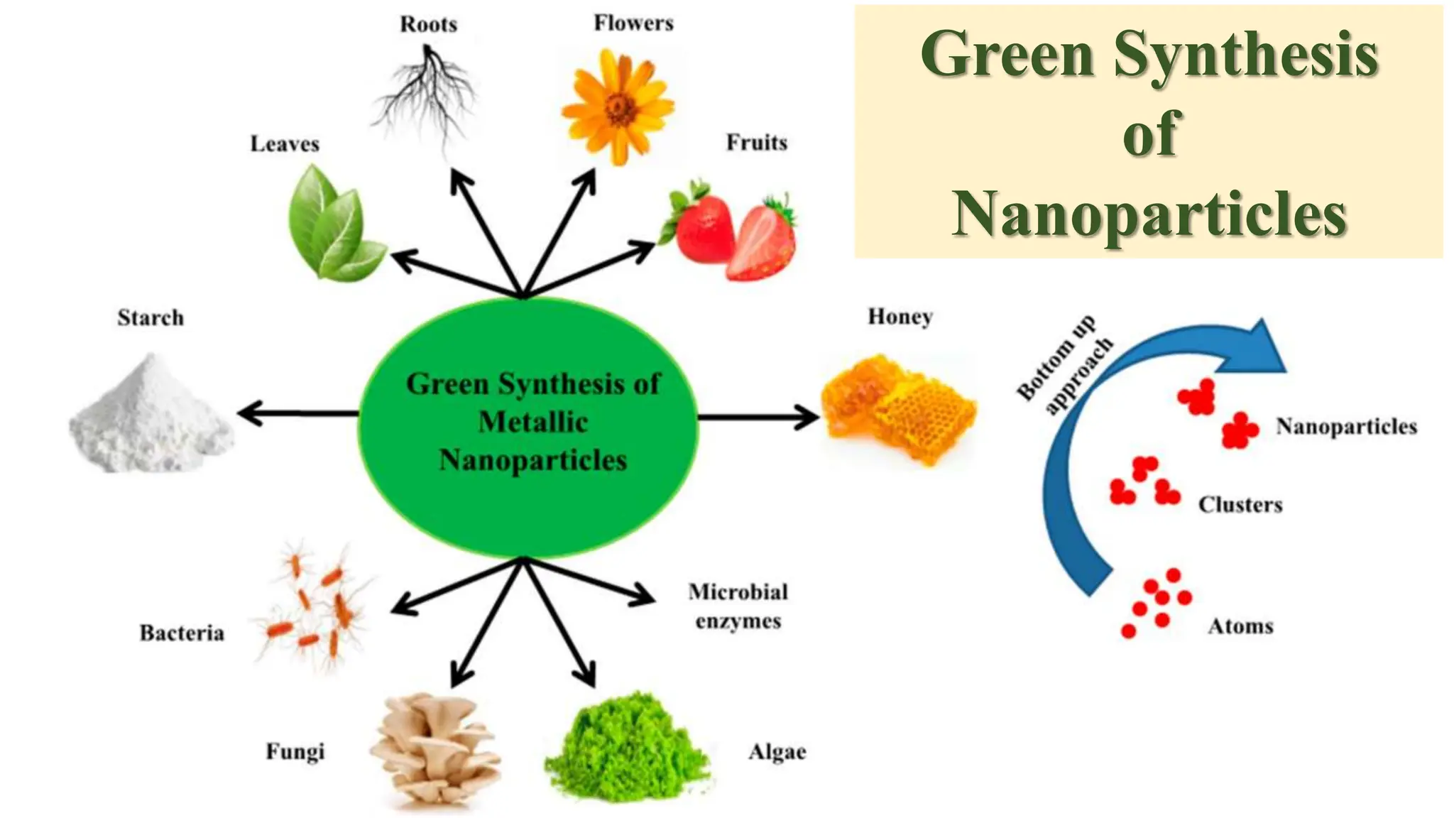 Green Synthesis
of
Nanoparticles
 