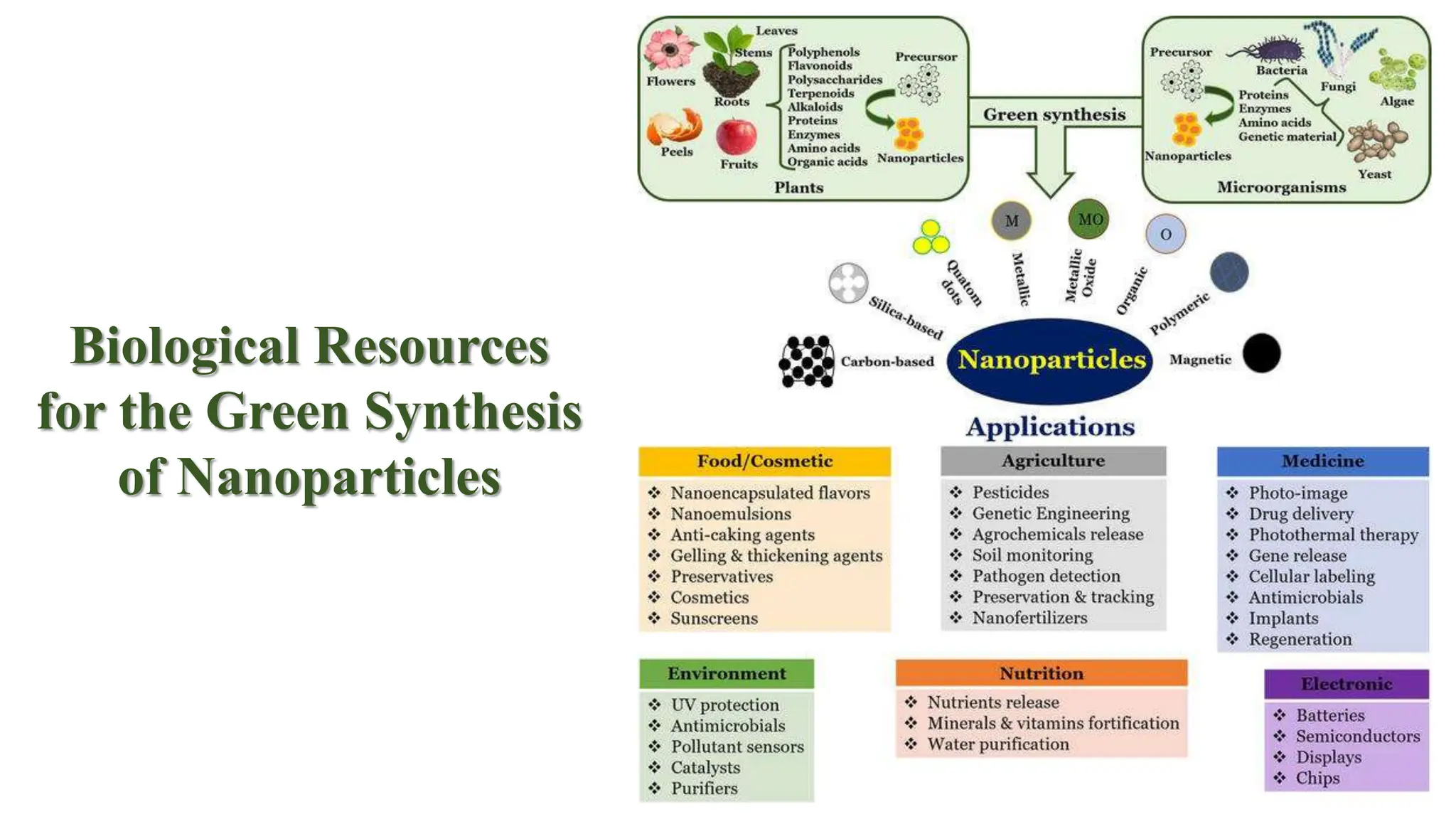 Biological Resources
for the Green Synthesis
of Nanoparticles
 