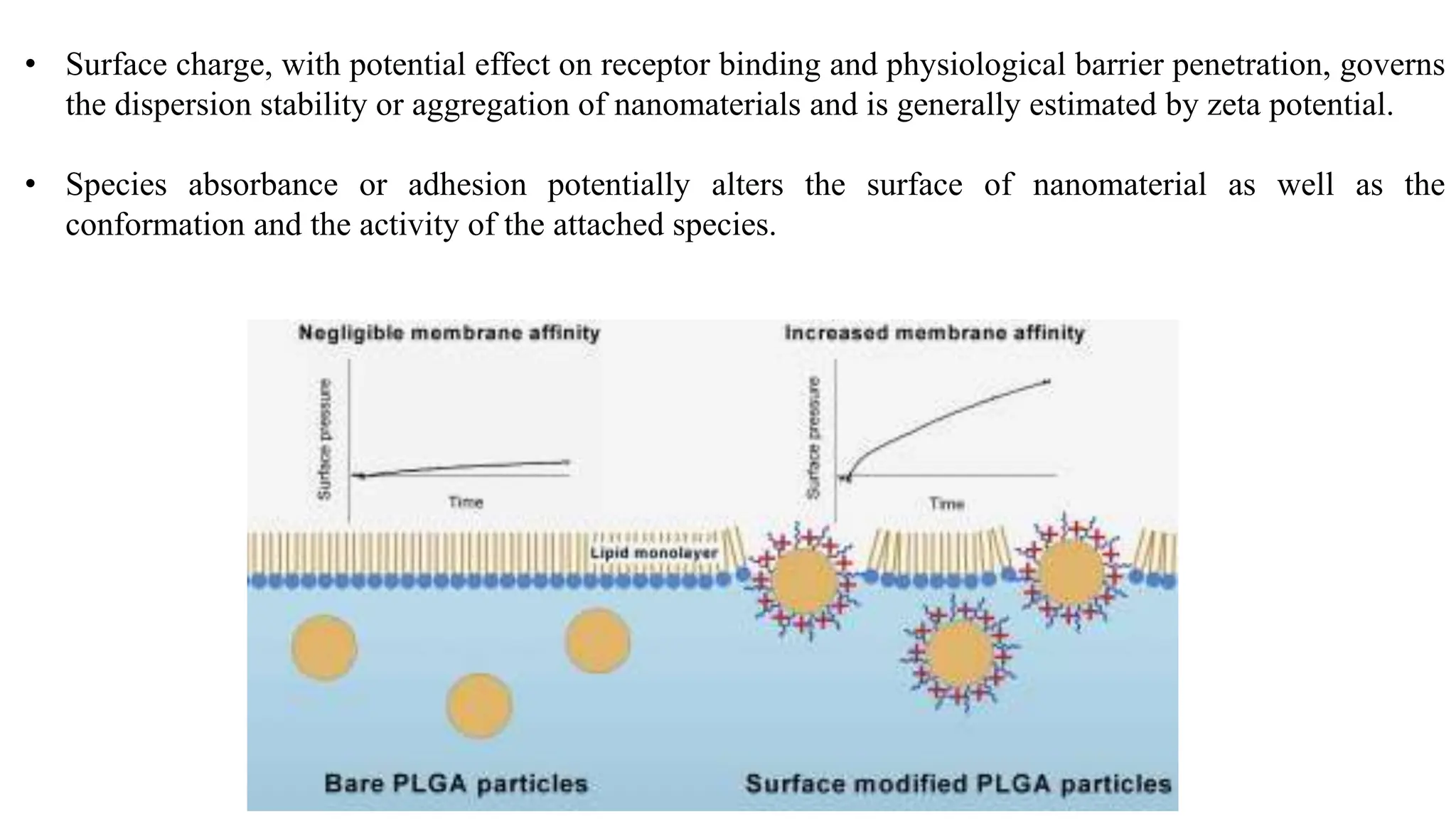 • Surface charge, with potential effect on receptor binding and physiological barrier penetration, governs
the dispersion stability or aggregation of nanomaterials and is generally estimated by zeta potential.
• Species absorbance or adhesion potentially alters the surface of nanomaterial as well as the
conformation and the activity of the attached species.
 