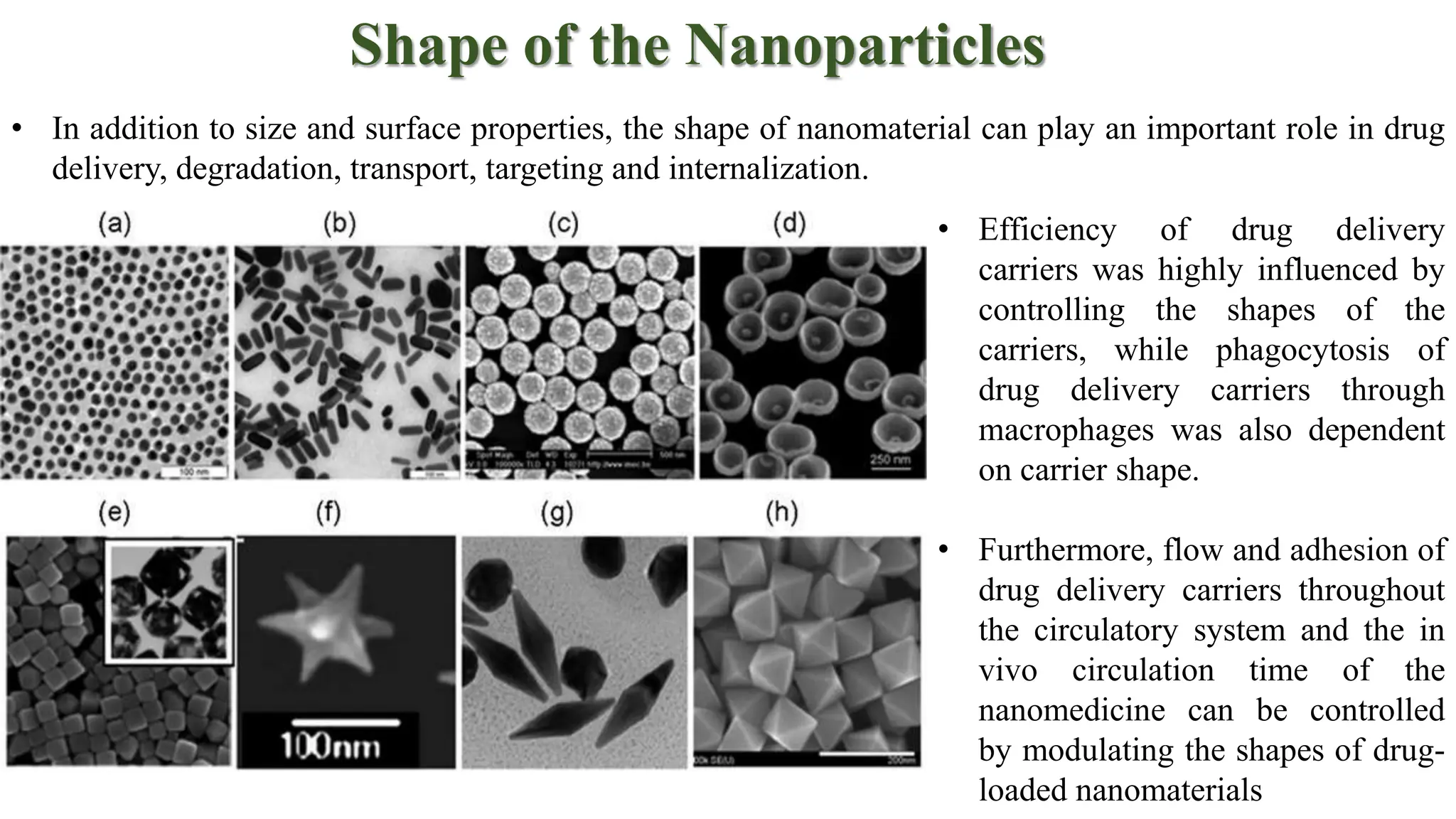 Shape of the Nanoparticles
• Efficiency of drug delivery
carriers was highly influenced by
controlling the shapes of the
carriers, while phagocytosis of
drug delivery carriers through
macrophages was also dependent
on carrier shape.
• Furthermore, flow and adhesion of
drug delivery carriers throughout
the circulatory system and the in
vivo circulation time of the
nanomedicine can be controlled
by modulating the shapes of drug-
loaded nanomaterials
• In addition to size and surface properties, the shape of nanomaterial can play an important role in drug
delivery, degradation, transport, targeting and internalization.
 