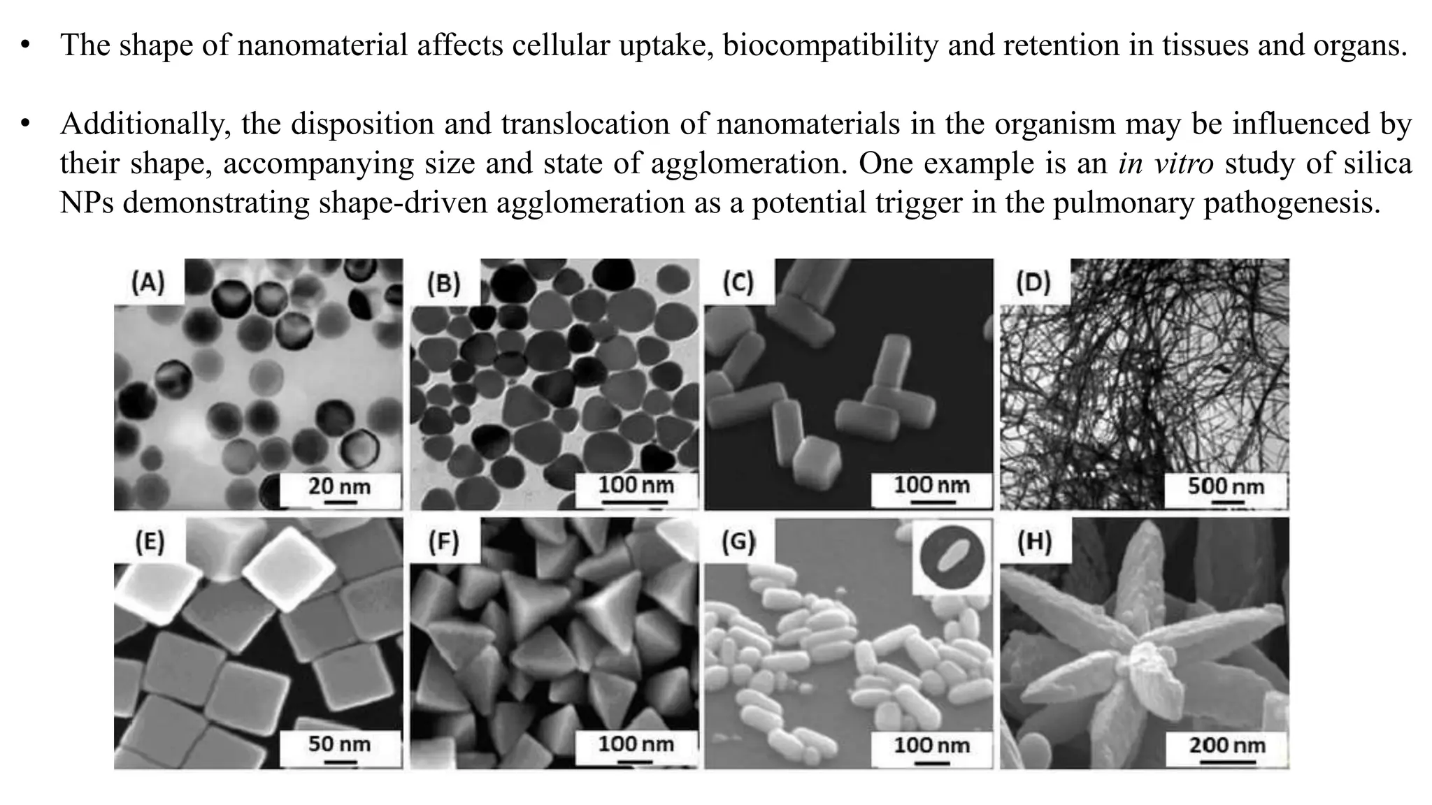 • The shape of nanomaterial affects cellular uptake, biocompatibility and retention in tissues and organs.
• Additionally, the disposition and translocation of nanomaterials in the organism may be influenced by
their shape, accompanying size and state of agglomeration. One example is an in vitro study of silica
NPs demonstrating shape-driven agglomeration as a potential trigger in the pulmonary pathogenesis.
 