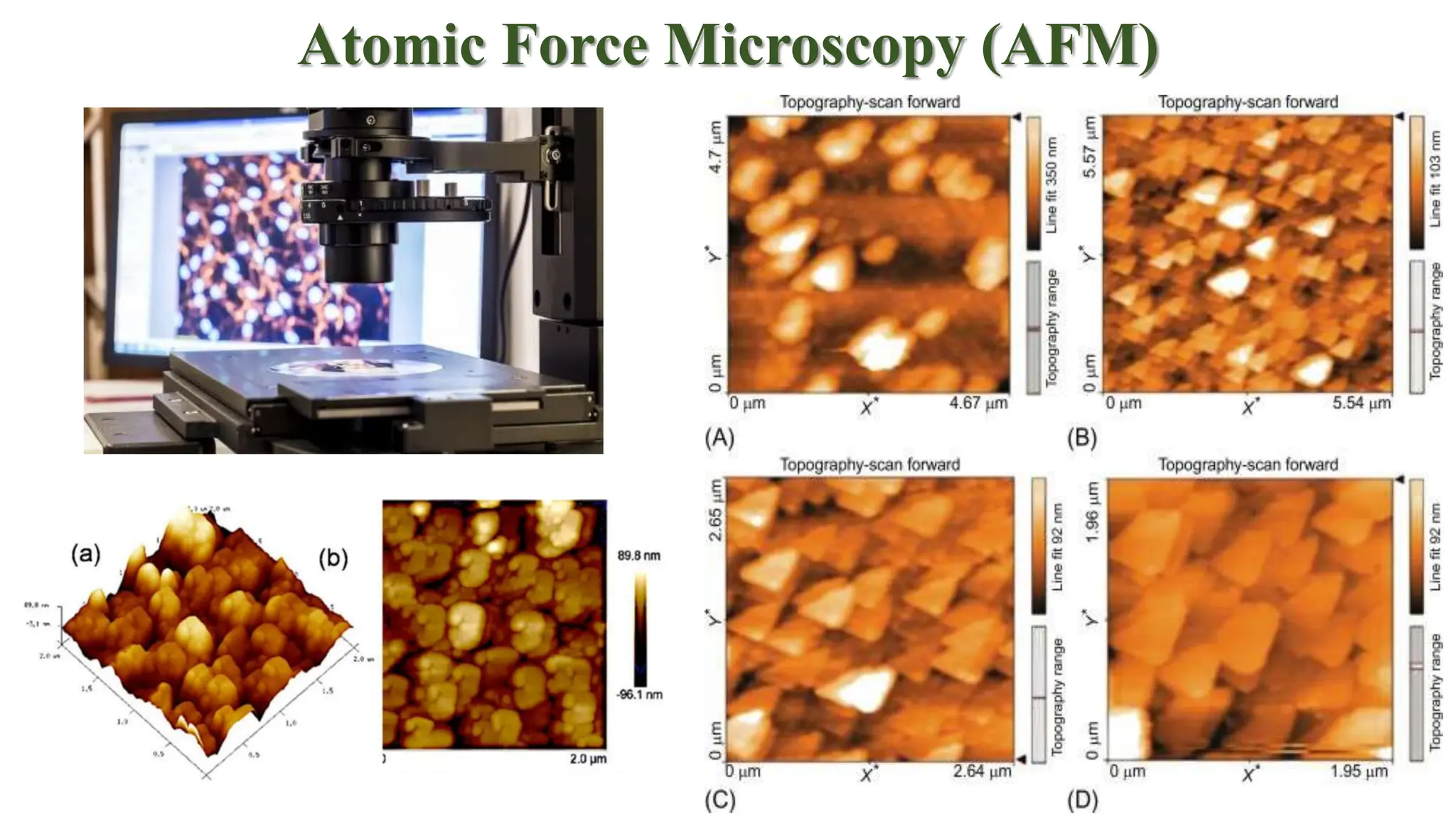 Atomic Force Microscopy (AFM)
 