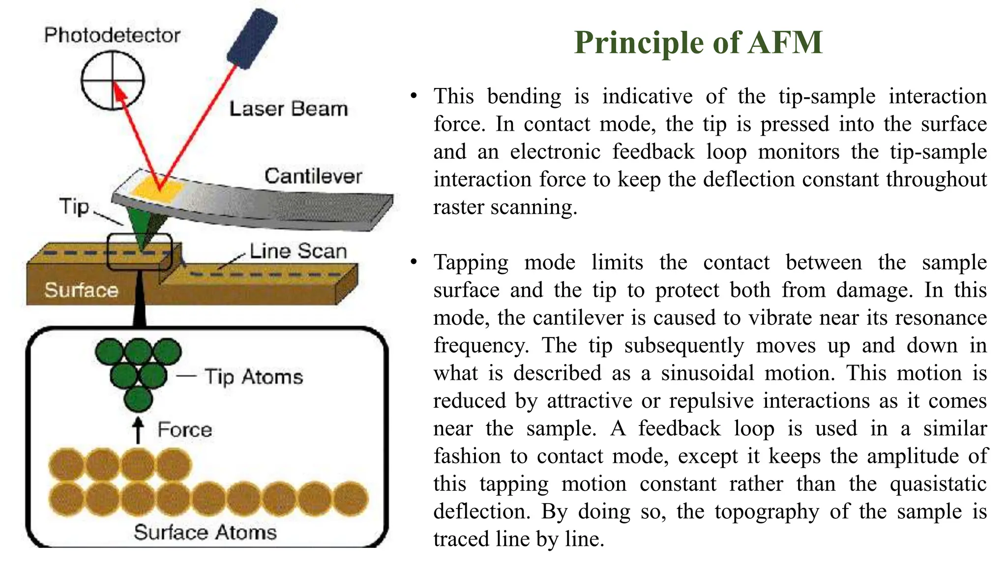 • This bending is indicative of the tip-sample interaction
force. In contact mode, the tip is pressed into the surface
and an electronic feedback loop monitors the tip-sample
interaction force to keep the deflection constant throughout
raster scanning.
• Tapping mode limits the contact between the sample
surface and the tip to protect both from damage. In this
mode, the cantilever is caused to vibrate near its resonance
frequency. The tip subsequently moves up and down in
what is described as a sinusoidal motion. This motion is
reduced by attractive or repulsive interactions as it comes
near the sample. A feedback loop is used in a similar
fashion to contact mode, except it keeps the amplitude of
this tapping motion constant rather than the quasistatic
deflection. By doing so, the topography of the sample is
traced line by line.
Principle of AFM
 