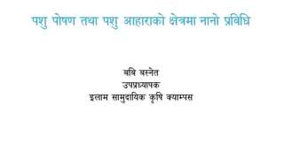 पशु पोिण तथा पशु आहाराको क्षेत्रमा नानो प्रयिबि
बबब बस्नेत
उपप्रध्यापक
इलाम सामुदाययक क
ृ यि क्याम्पस
 