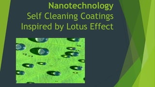 Nanotechnology
Self Cleaning Coatings
Inspired by Lotus Effect
 
