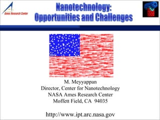 M. Meyyappan Director, Center for Nanotechnology NASA Ames Research Center Moffett Field, CA  94035 http://www.ipt.arc.nasa.gov Nanotechnology:  Opportunities and Challenges 