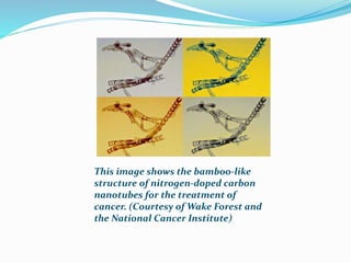 This image shows the bamboo-like
structure of nitrogen-doped carbon
nanotubes for the treatment of
cancer. (Courtesy of Wake Forest and
the National Cancer Institute)
 