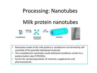 Nanotechnology Applications to Dairy Industry | PDF
