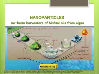 M. Kinman. 2009. QuantumSphere Awarded Research Grant to Turn Algae Into Biofuels. Market wired. Retrieved 4-12-2014, from
http://www.marketwired.com/press-release/quantumsphere-awarded-research-grant-to-turn-algae-into-biofuels-1242512.htm
 
