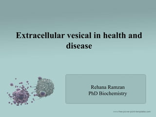 Rehana Ramzan
PhD Biochemistry
Extracellular vesical in health and
disease
 