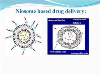 Niosome based drug delivery: 