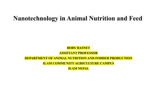 Nanotechnology in Animal Nutrition and Animal Feed. | PDF