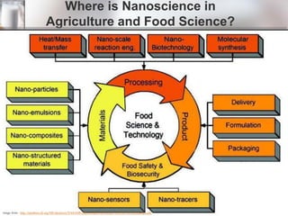 Nanotechnology in Agriculture and Food Technology | PDF