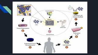 Nanotechnology in drug delivery | PPTX