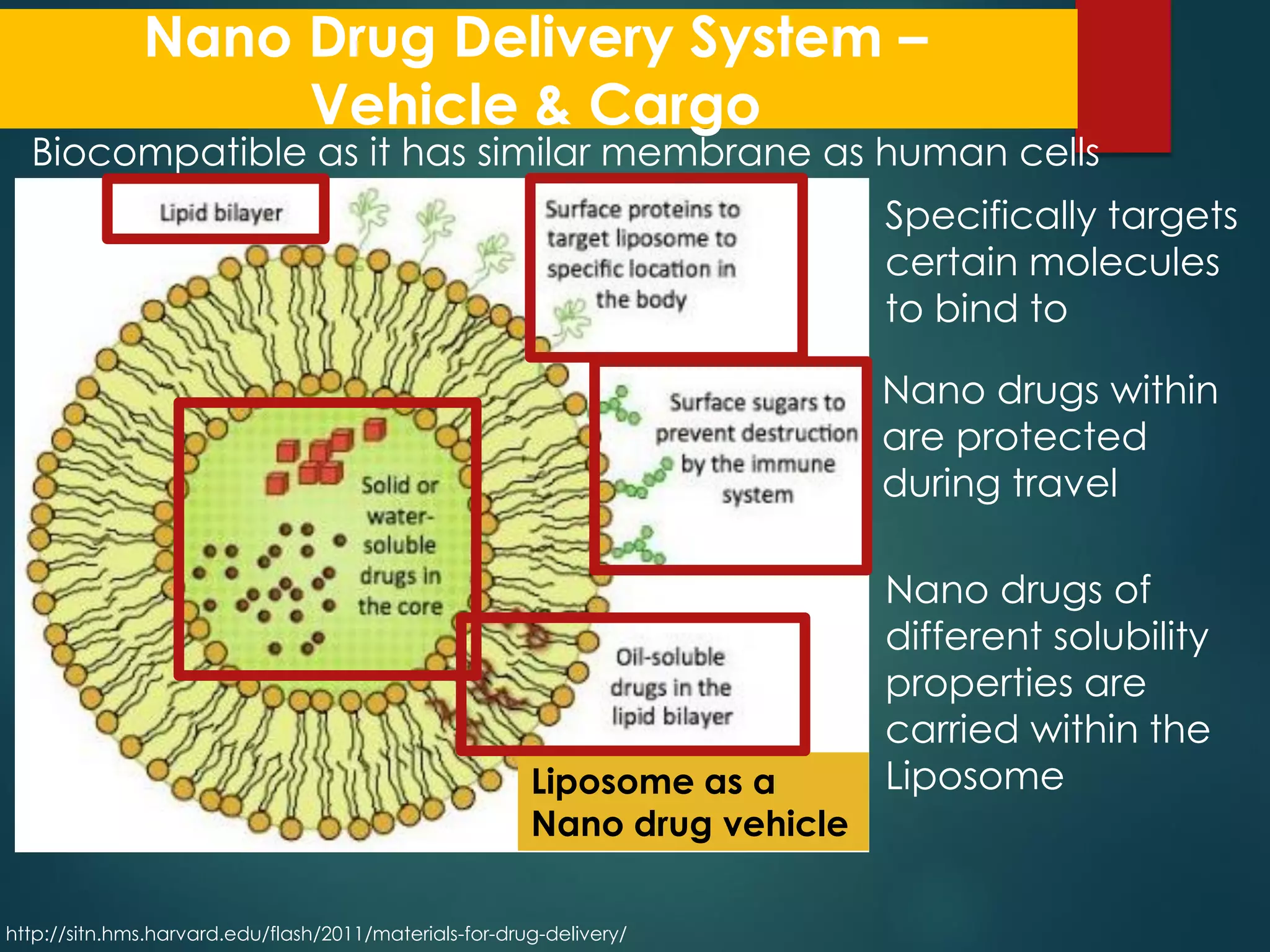 Nanotechnology in Drug Delivery | PDF