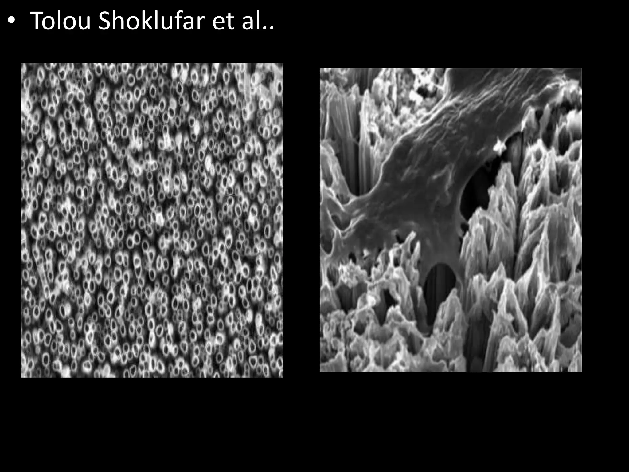 • Tolou Shoklufar et al..
 