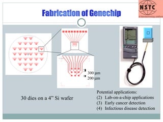 Potential applications: Lab-on-a-chip applications Early cancer detection Infectious disease detection 30 dies on a 4” Si wafer 200   m 300   m 