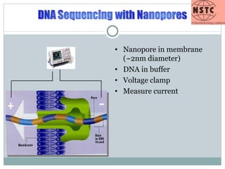Nanopore in membrane (~2nm diameter) DNA in buffer Voltage clamp Measure current 