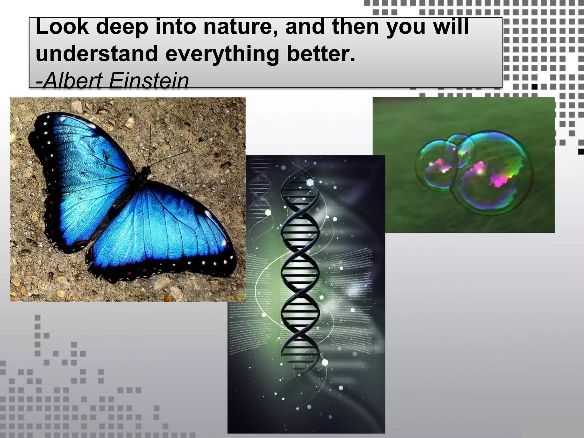 Look deep into nature, and then you will
understand everything better.
-Albert Einstein
 